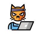 :om_hacker_cat: :om_hacker_cat: